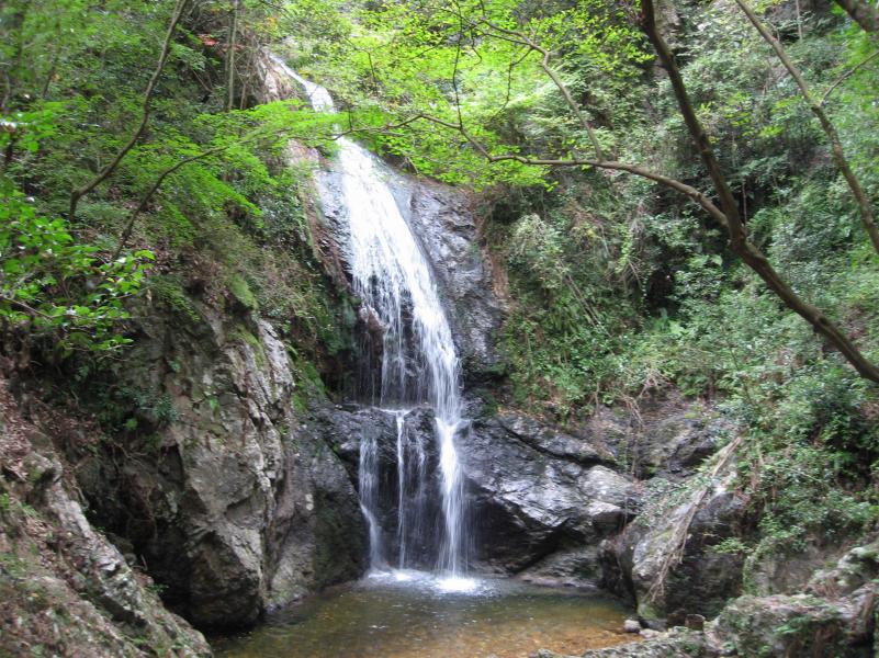 中部森林管理局 管内の見どころ
