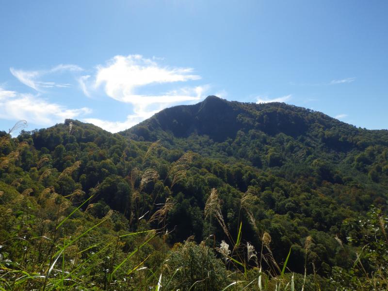 大渚山