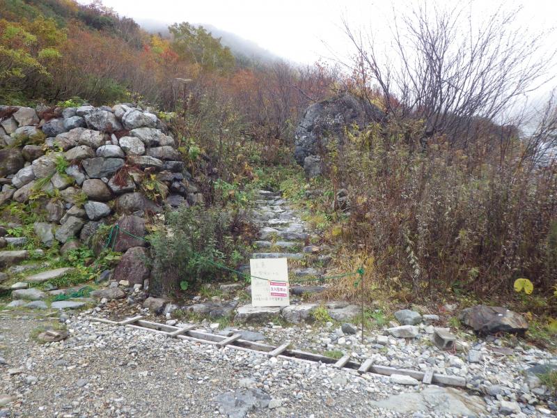 登山道