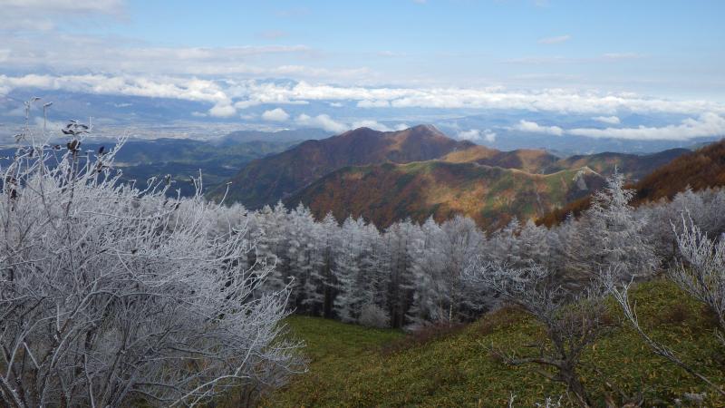 中部森林管理局 山のたより 美ヶ原
