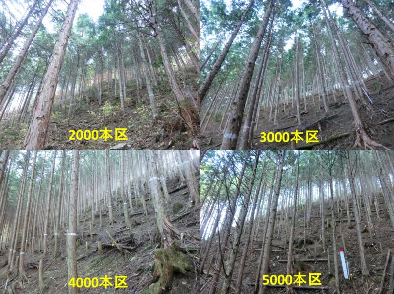 H27年度1105プロット比較