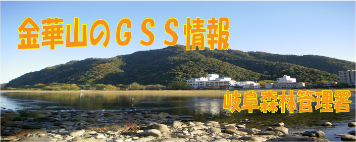 金華山のGSS情報