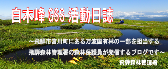 白木峰GSS活動日誌