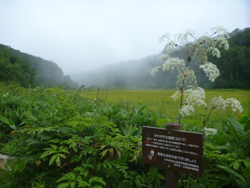 飯山地域GSS6