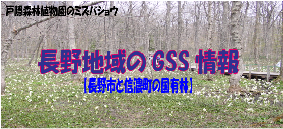 長野地域のGSS情報