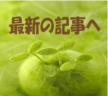 最新の記事へ