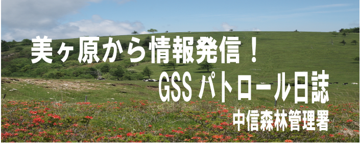 美ヶ原から情報発信！GSSパトロール日誌