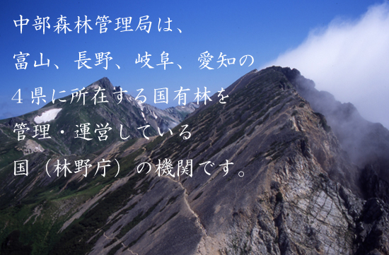 中部森林管理局は、富山、長野、岐阜、愛知の4県に所在する国有林を管理・運営している国（林野庁）の機関です。