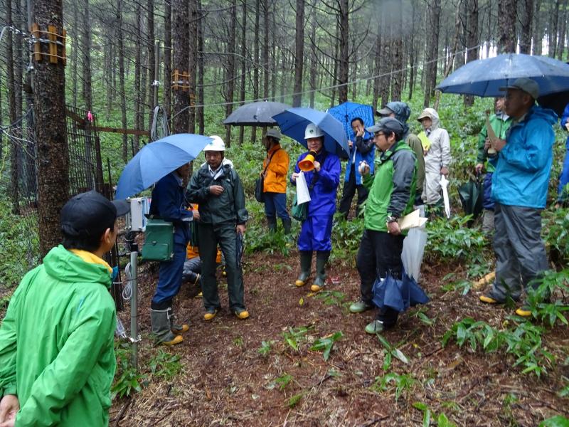 ニホンジカ被害対策現地検討会