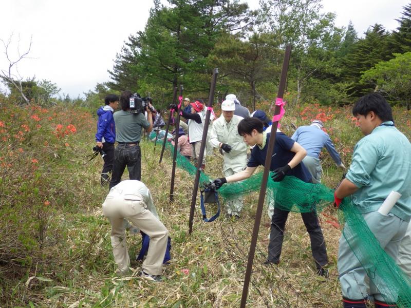 ニホンジカ防護柵設置（八島ガ原湿原）