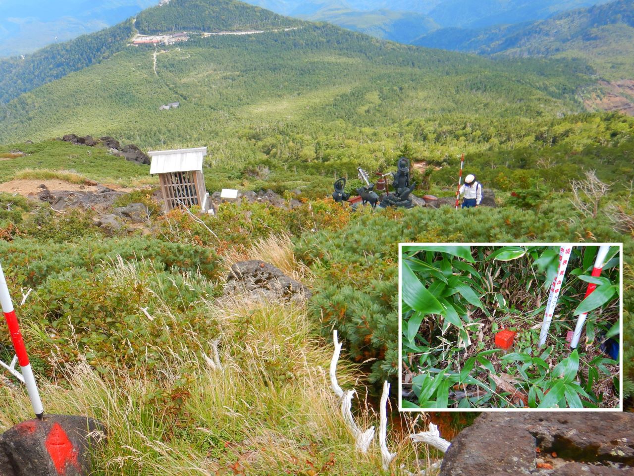国有林と民有林の境界確認