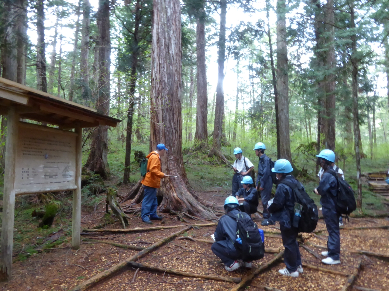 森林環境教育