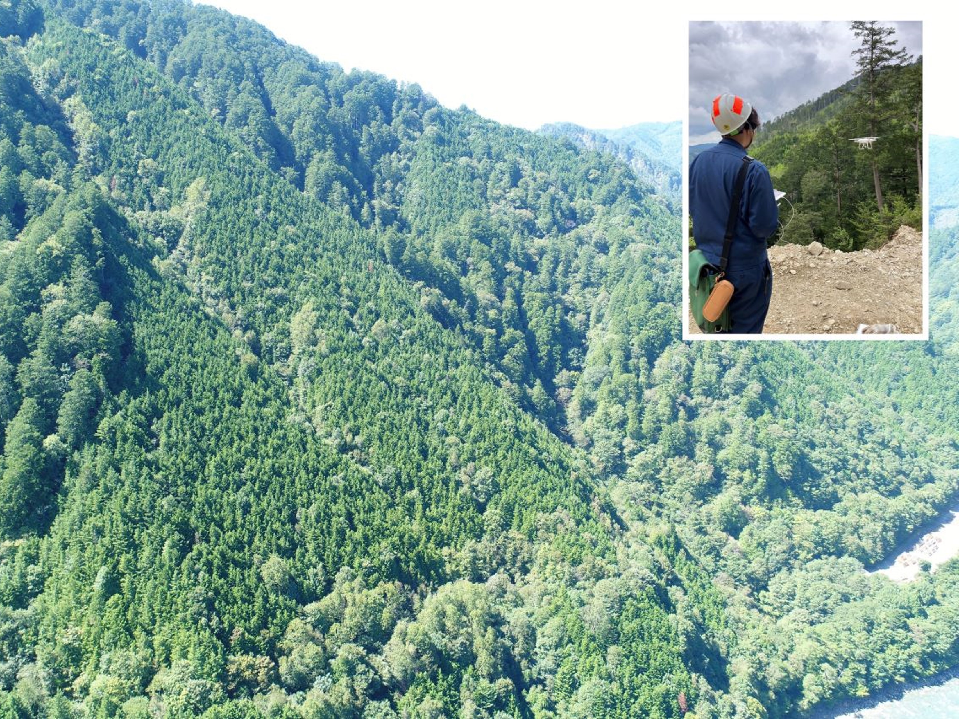 ドローンを使用した林況確認