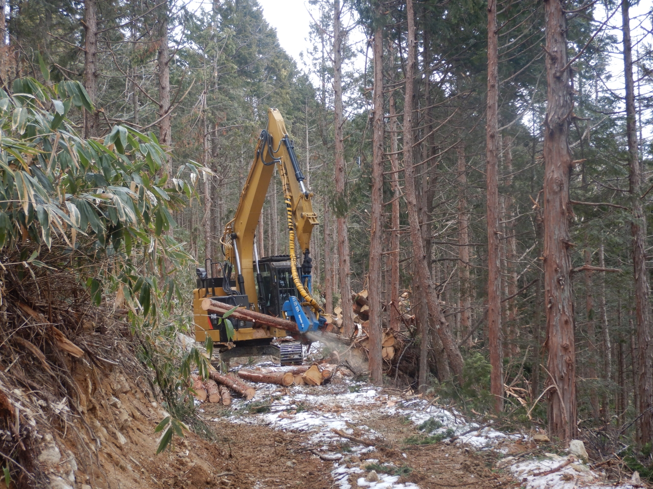 製品生産事業における造材