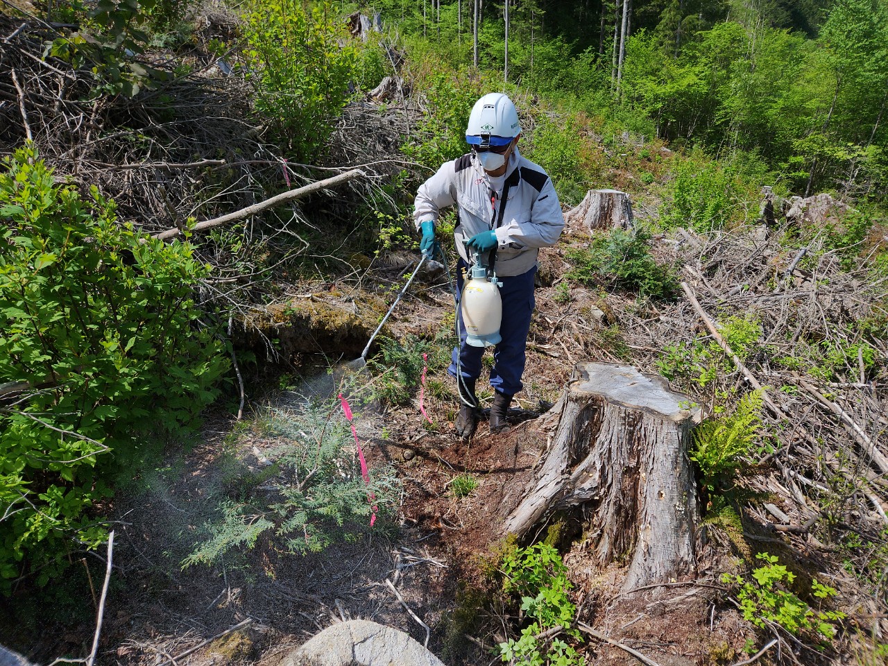 造林事業（獣害対策）