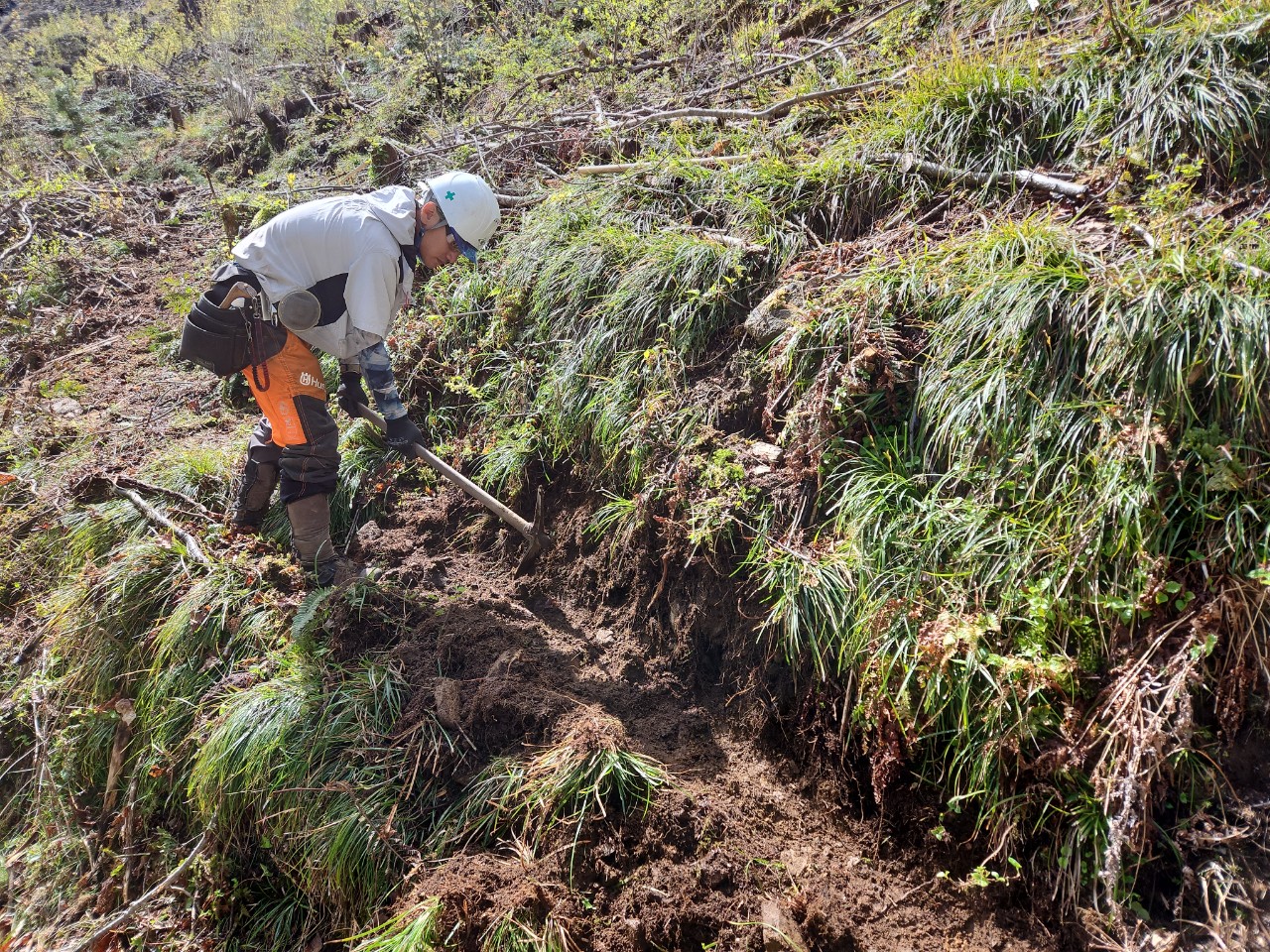 造林事業（歩道整備）