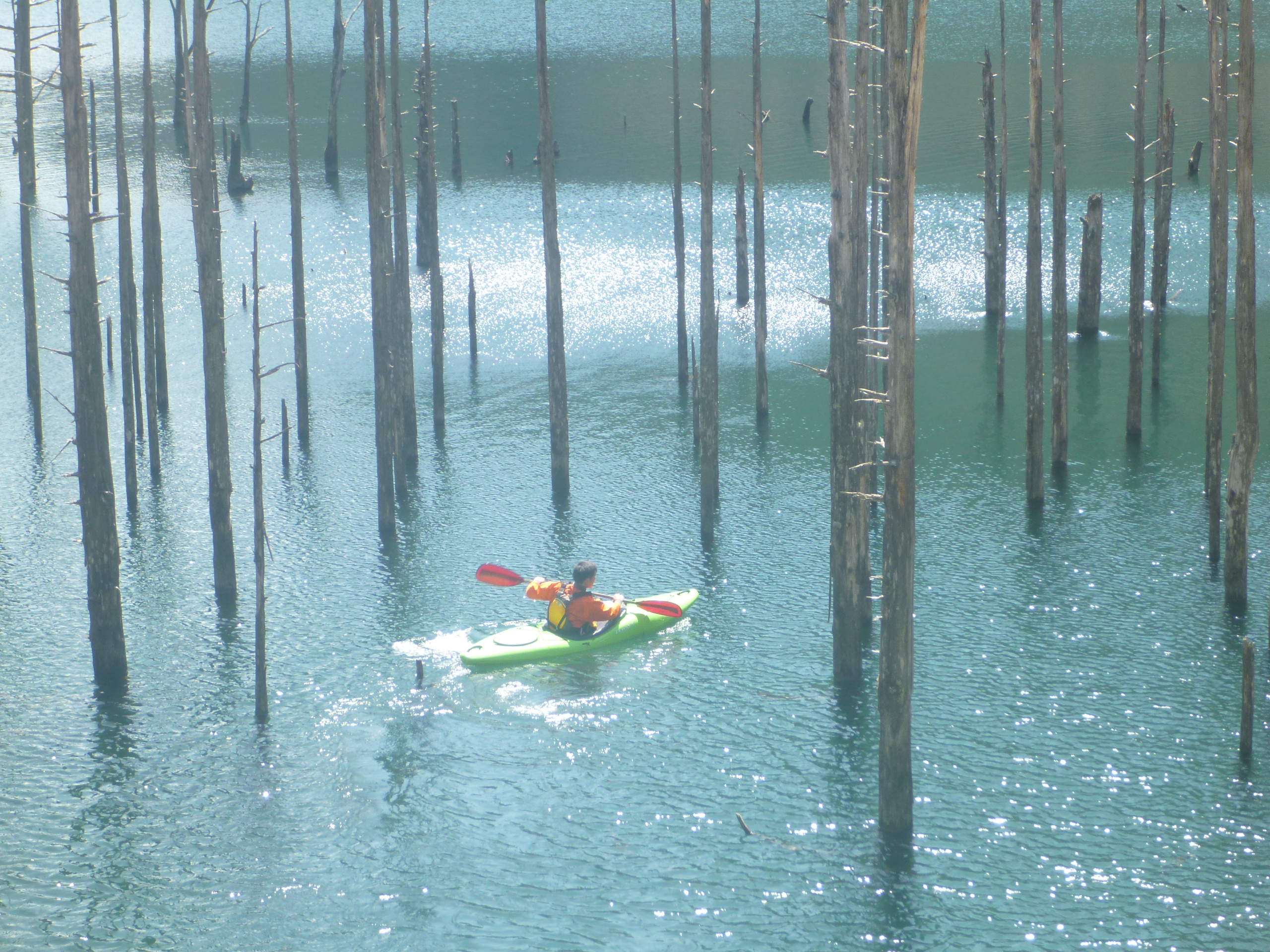 自然湖カヌー体験