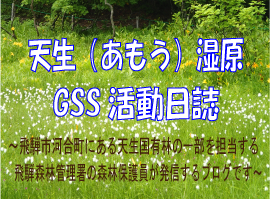 天生（あもう）湿原GSS活動日誌