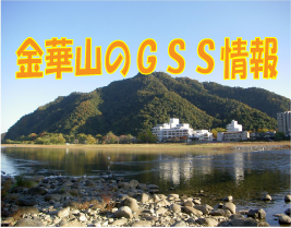 金華山gss