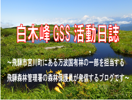 白木峰GSS活動