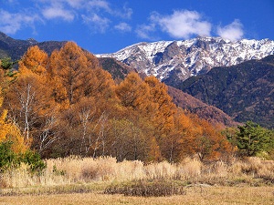 八ヶ岳山麓の秋フォト