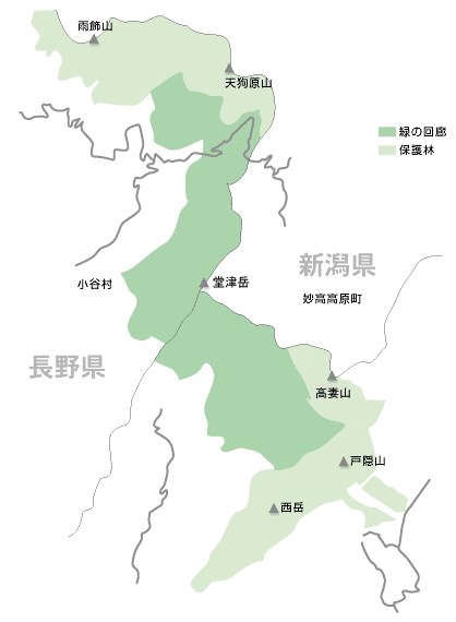 緑の回路MAP