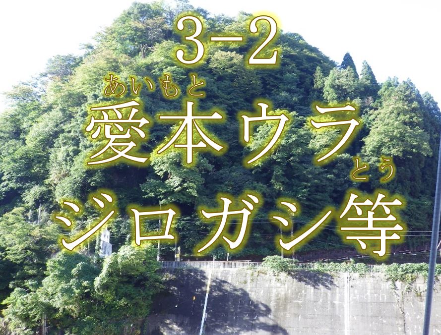 愛本ウラジロガシ等希少個体群保護林