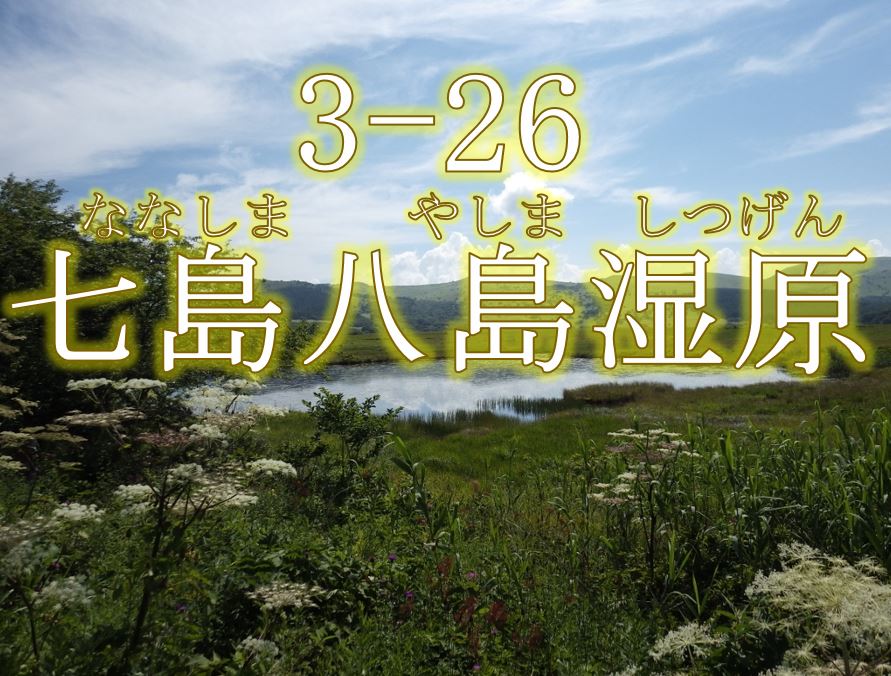 七島八島湿原希少個体群保護林