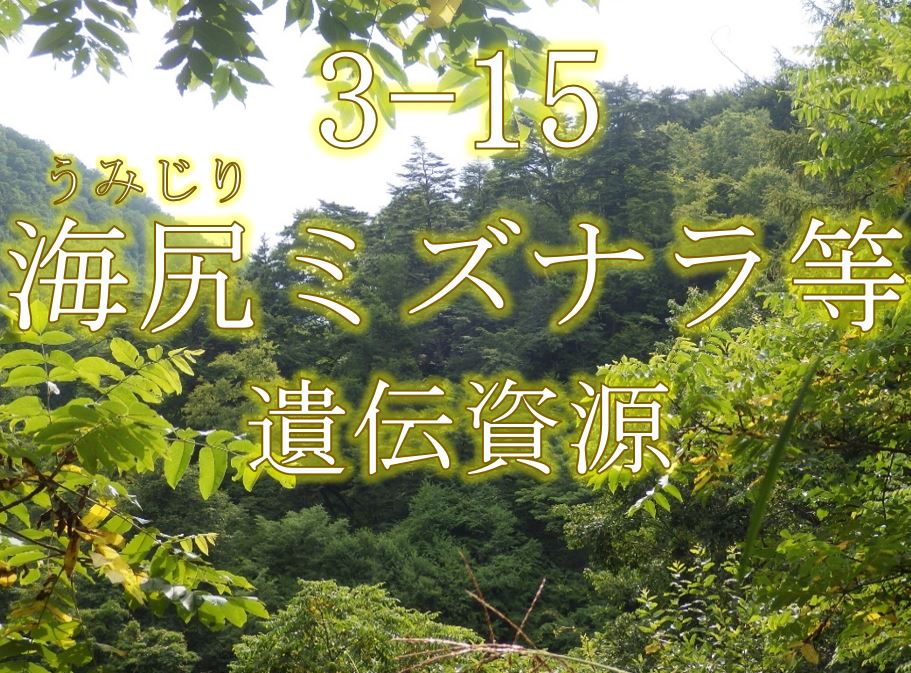 海尻ミズナラ等遺伝資源希少個体群保護林