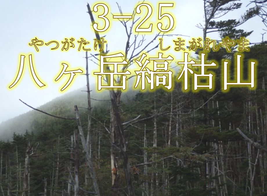 八ヶ岳縞枯山希少個体群保護林