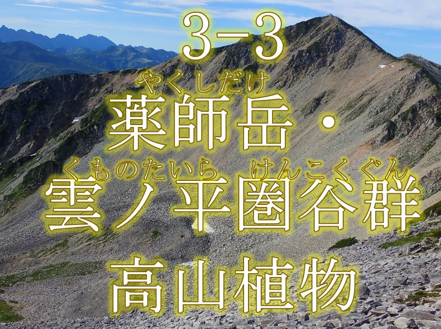 薬師岳・雲ノ平圏谷群高山植物希少個体群保護林