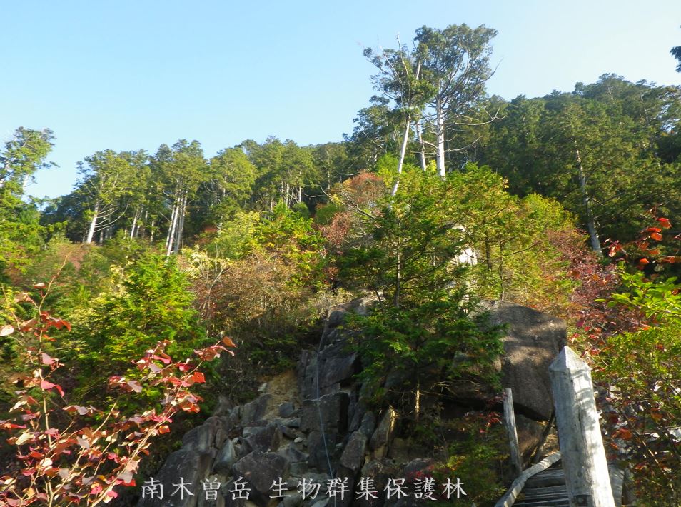 南木曽岳生物群集保護林