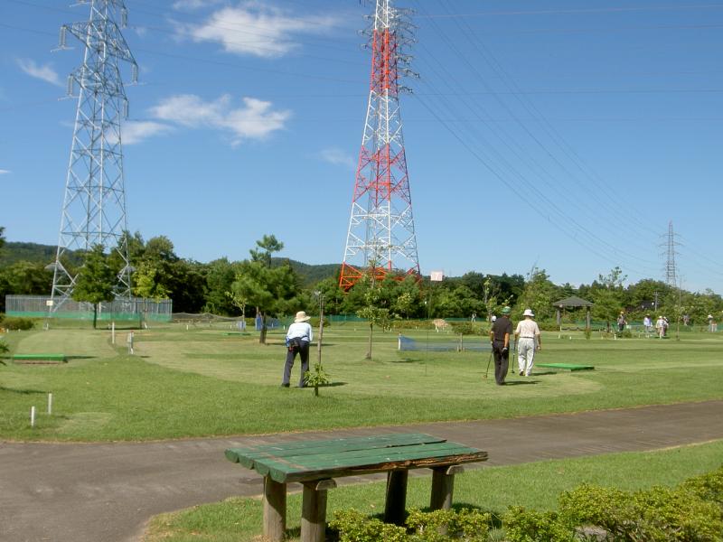 気象害防備（大沢野2）