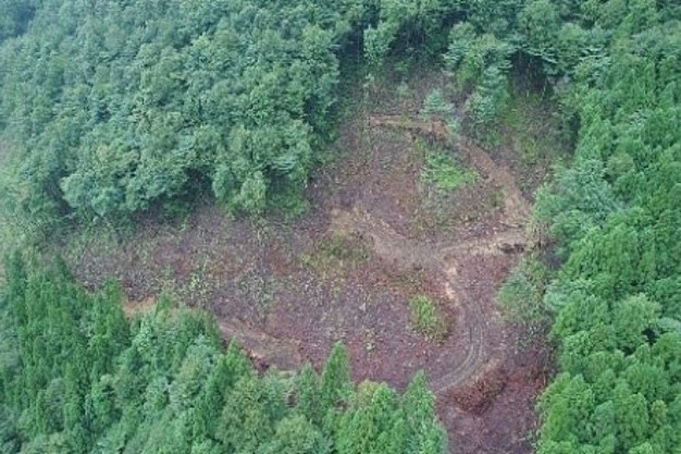 Creating hunting grounds for raptors