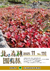 広報誌11月号表紙