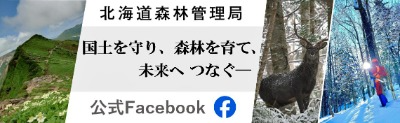 フェイスブック
