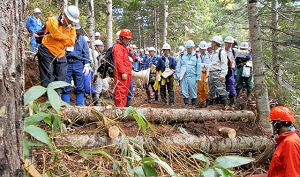 当日は、林野庁森林技術総合研修所及び同林業機械化センターの専門職員を講師に招き