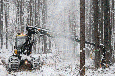 国産が汎用の建設重機をベースとしているのに対して、欧州製の先進林業機械は、林業専用に開発されたホイル式トラクターがベースとなっています。 