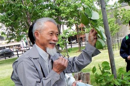 樹木の生い立ちや葉の形状