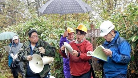 天然更新を確実に、効率よく進めるためには、地表処理後の笹などの植生の回復をいかに遅らせ、稚樹の生育する時間をどれだけ稼げるかが重要です。 