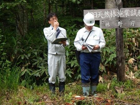 上川総合振興局北部森林室よりかき起こしの情報提供