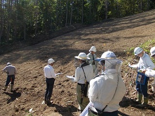 カラマツの天然更新を図るための大型機械による地拵え箇所2