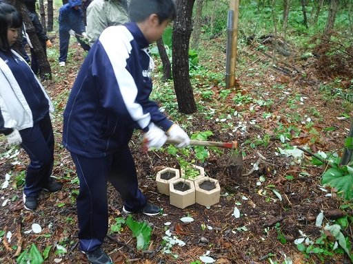 中高一貫教育（えりも中学校）