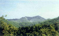 日高山脈中央部森林生態系保護地域