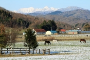 牧場の向こうに望む日高山脈