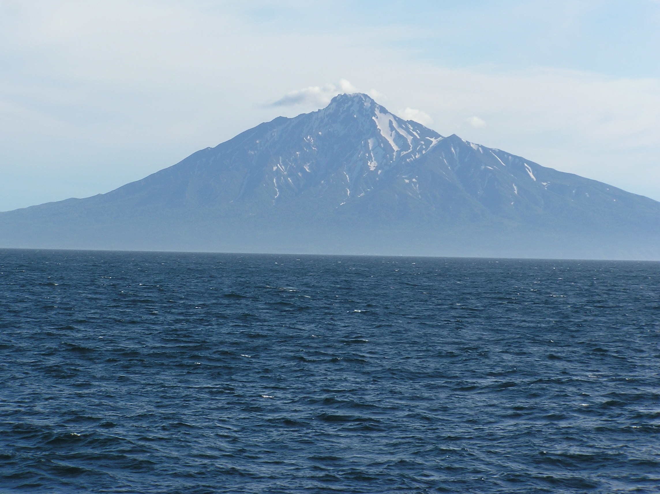 利尻島（りしりとう）生物群集保護林