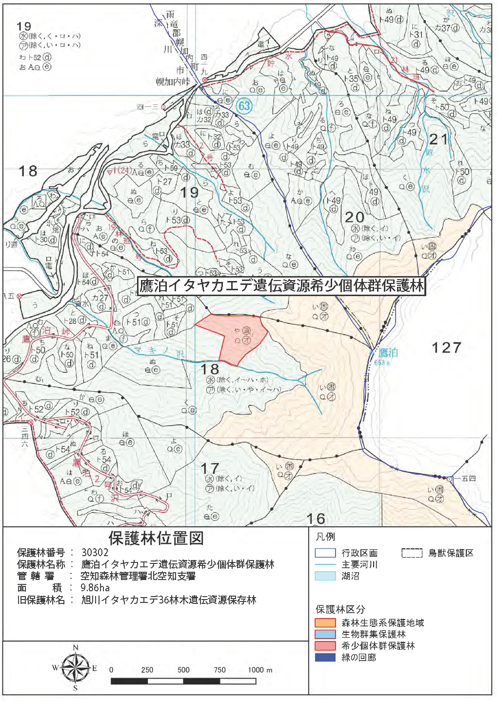 鷹泊（たかどまり）イタヤカエデ遺伝資源希少個体群保護林