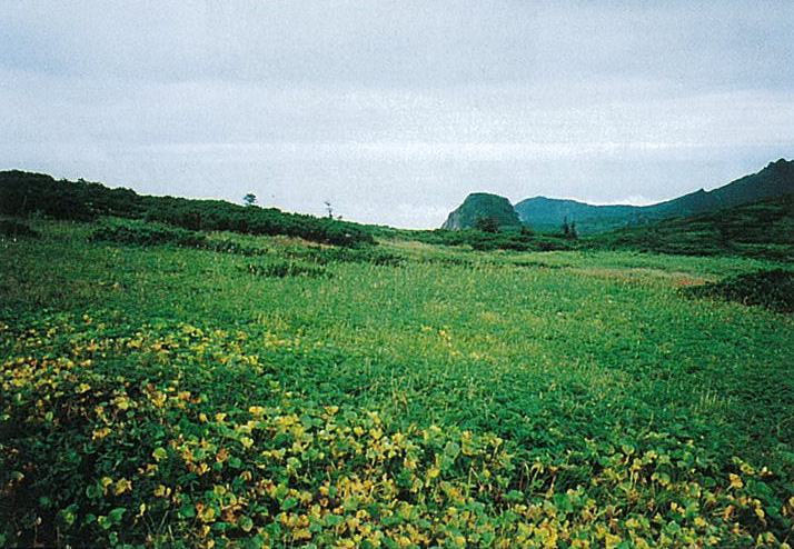 東和田岳張