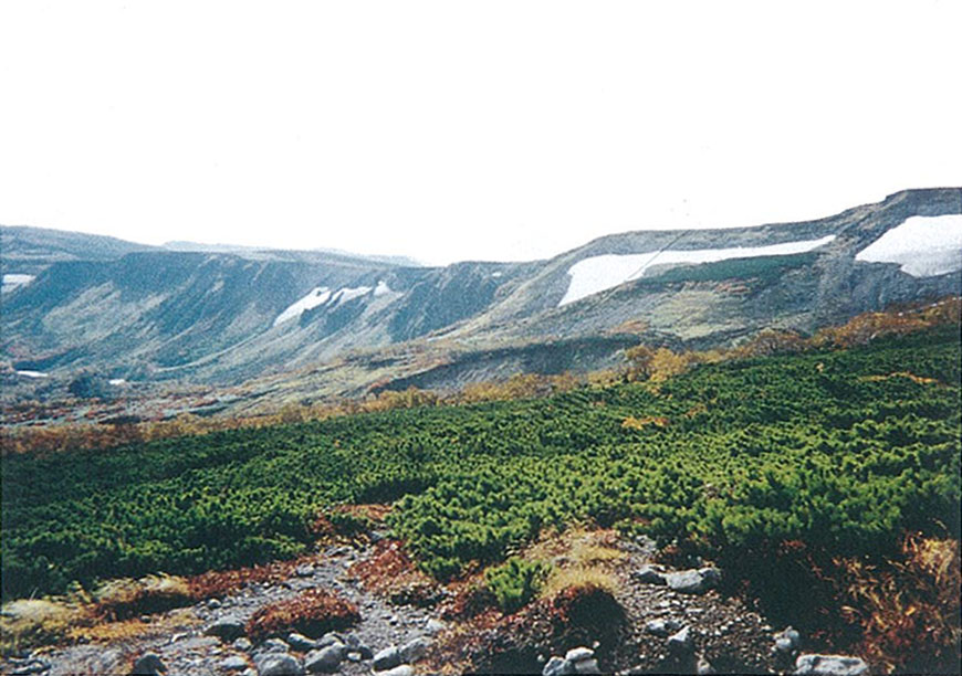 高山帯