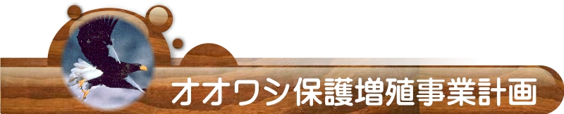 オオワシ保護増殖事業計画